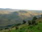 Sleddale Pike